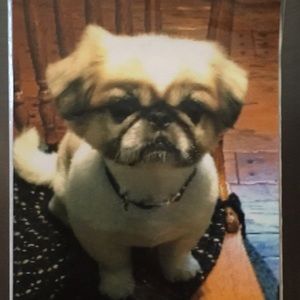 Meet your Posher, Cindy